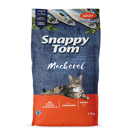 Snappy Tom Mackerel